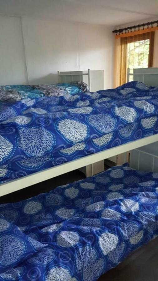 Hostel Belgrade Shungit Dragana Jeftica Br 10 Экстерьер фото