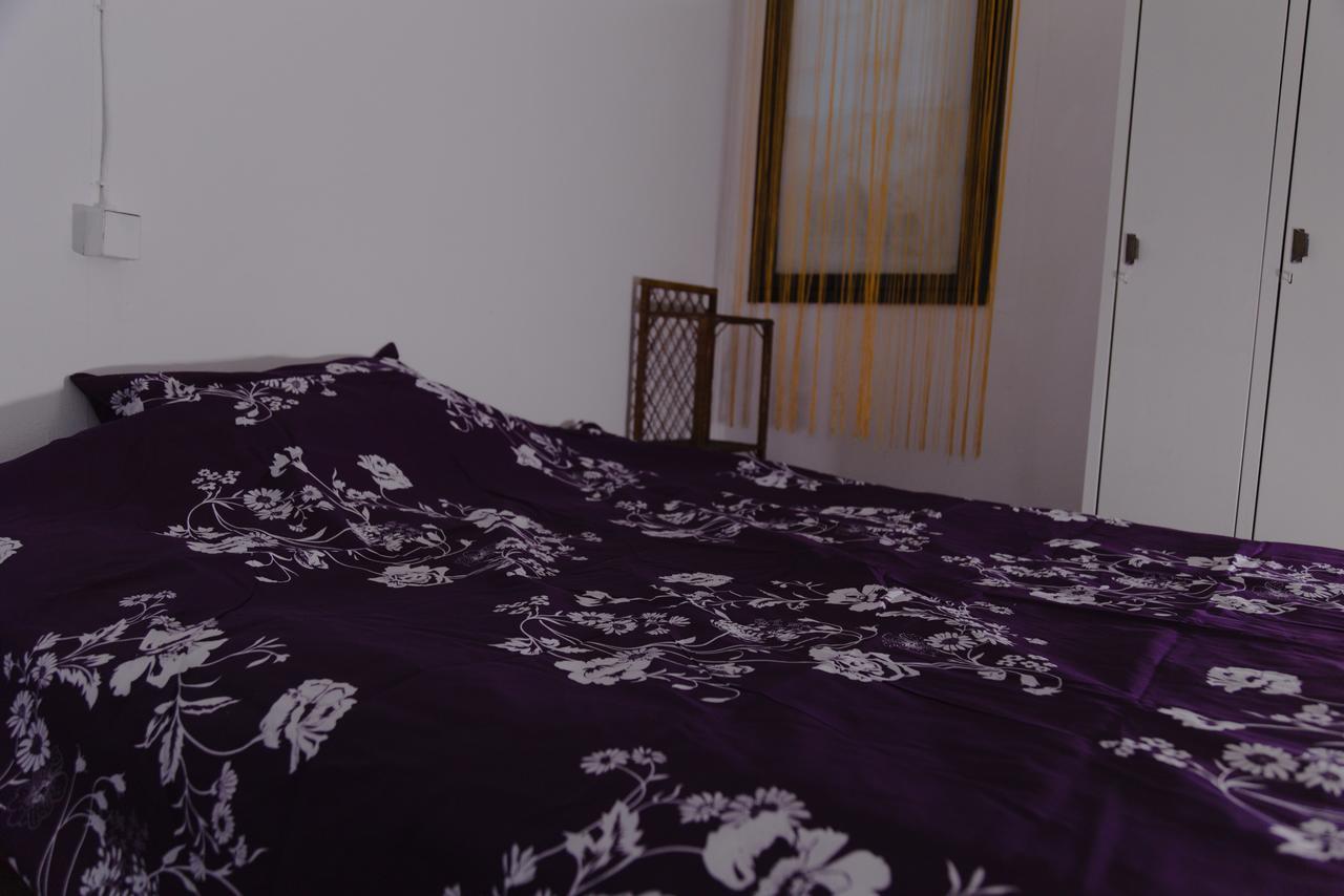 Hostel Belgrade Shungit Dragana Jeftica Br 10 Экстерьер фото