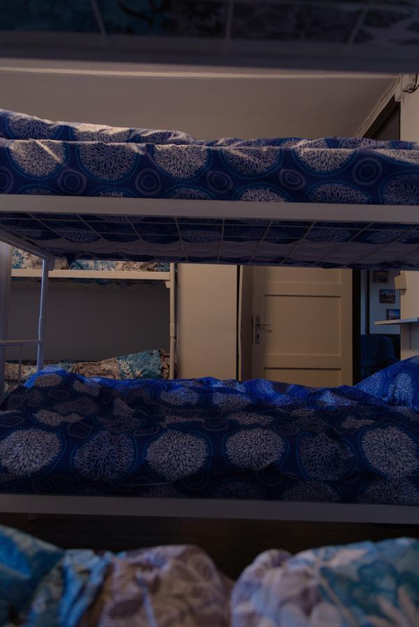 Hostel Belgrade Shungit Dragana Jeftica Br 10 Экстерьер фото